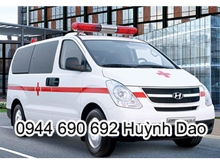 Hyundai Starex cứu thương